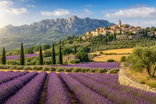 Lavender fields with a hilltop village and the Alpilles in the background under golden sunlight.