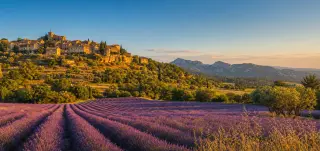 Lavender fields leading to a hilltop village with terracotta roofs under a warm, sunlit sky in Provence.