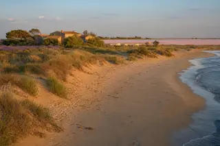 Wild Camargue beach with sand dunes, pink salt flats, distant white horses and Provençal farmhouses under warm evening light.