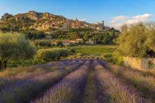 Lavender fields and olive trees under a vibrant blue sky, a hilltop Provençal village and vineyards in the sun.