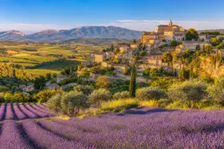 Hilltop Luberon village overlooking lavender fields, olive groves, and cypress trees under a clear Provençal sky.